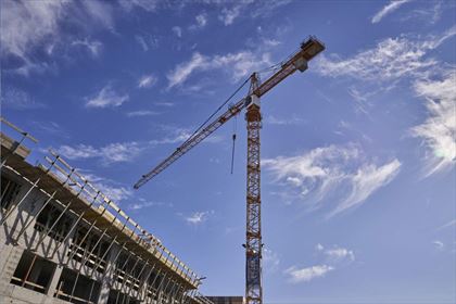 wypożyczanie żurawi